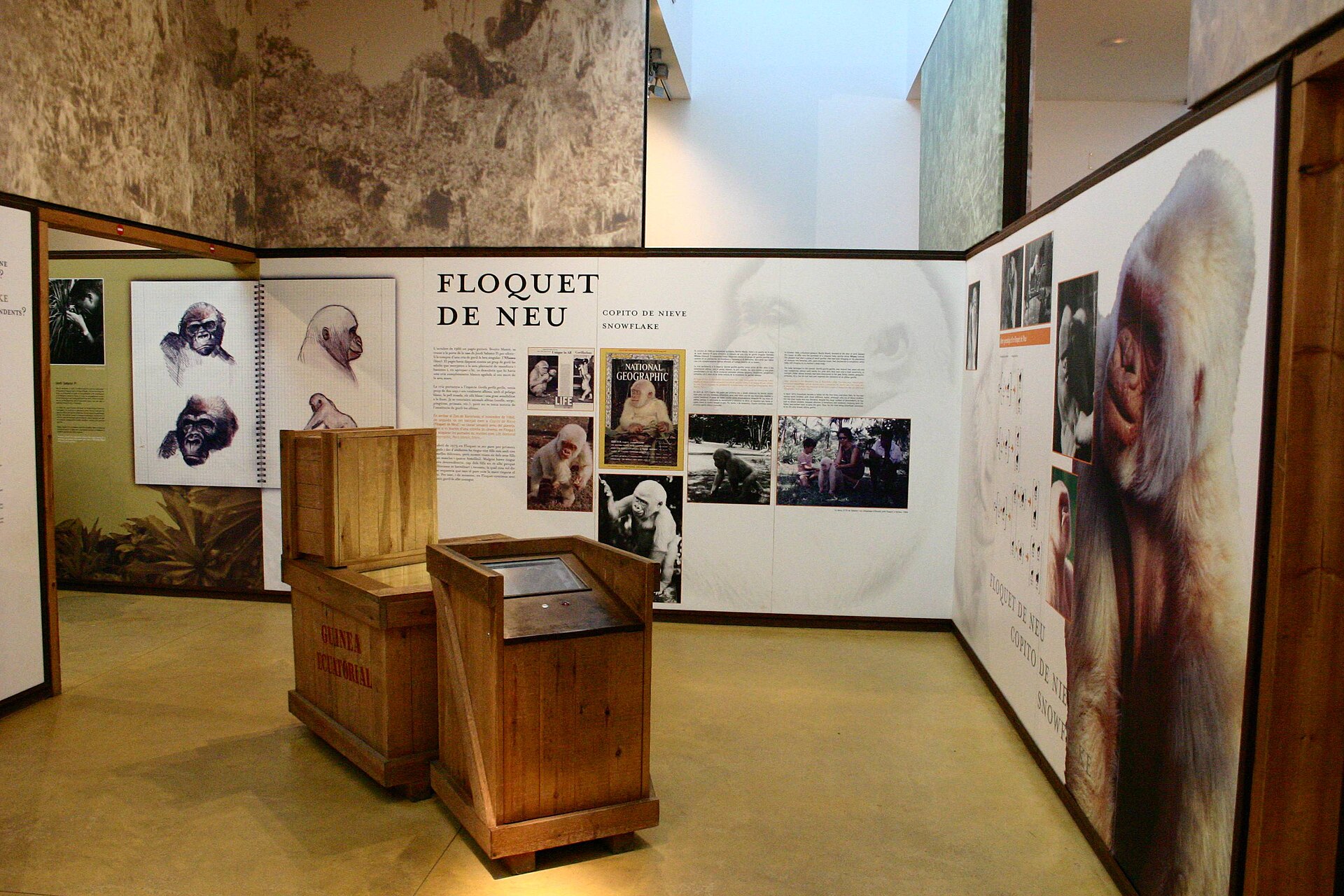 Mural histórico de Copito de Nieve no zoológico de Barcelona